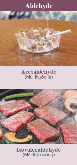 Acetaldehyde (Smell of tobacco, etc.), Isovaleraldehyde (Smell of grilled meat, etc.)