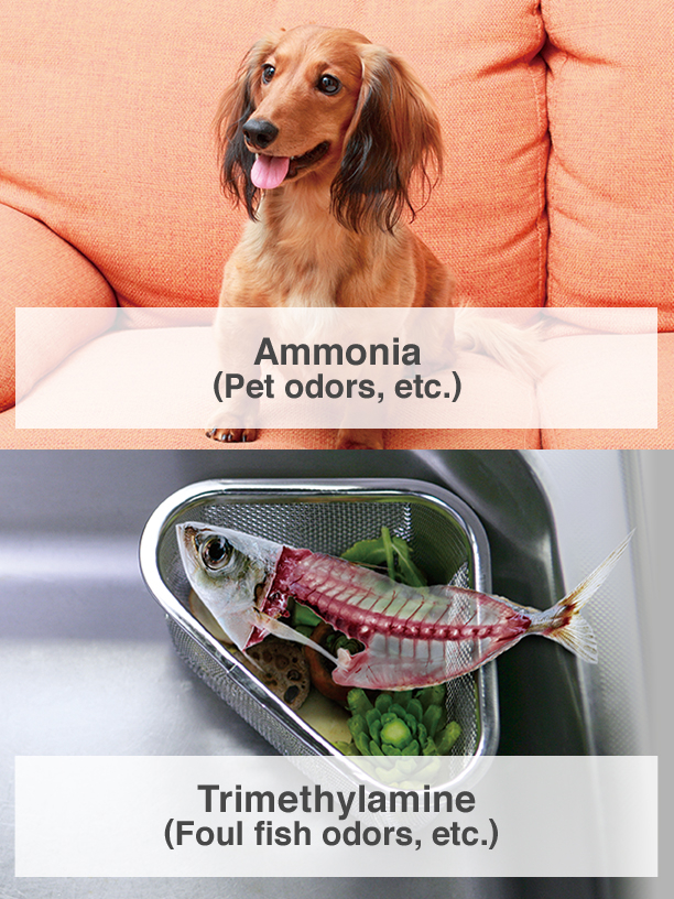 Ammonia (Pet odors, etc.), Trimethylamine (Foul fish odors, etc.)