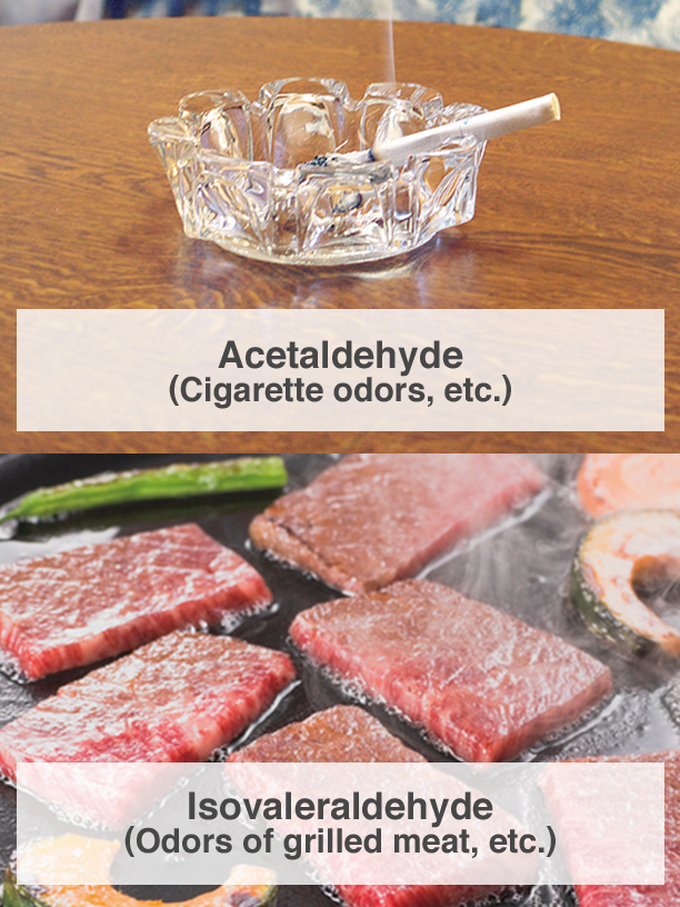 Acetaldehyde (Cigarette odors, etc.), Isovaleraldehyde (Odors of grilled meat, etc.)