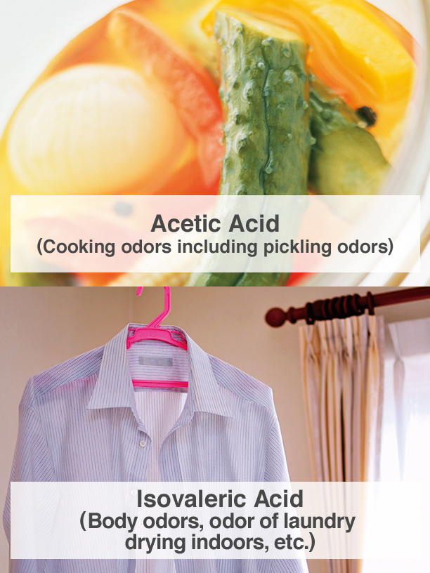 Acetic Acid (Cooking odors including pickling odors), Isovaleric Acid (Body odors, odor of laundry drying indoors, etc.)