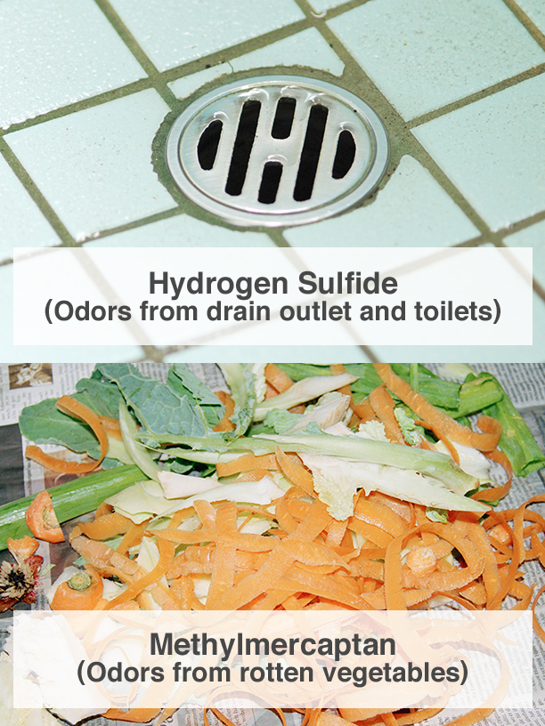 Hydrogen Sulfide (Odors from drain outlet and toilets), Methylmercaptan (Odors from rotten vegetables)