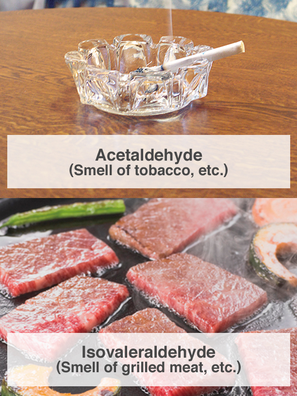Acetaldehyde (Smell of tobacco, etc.), Isovaleraldehyde (Smell of grilled meat, etc.)