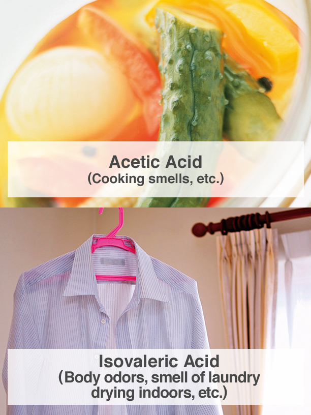 Acetic Acid (Cooking smells, etc.), Isovaleric Acid (Body odors, smell of laundry drying indoors, etc.)