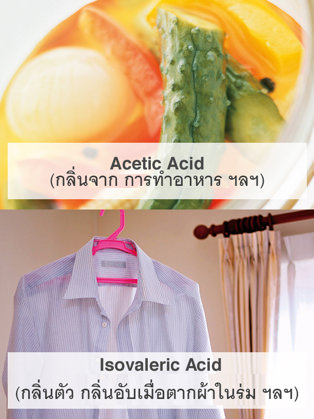 Acetic Acid (Cooking smells, etc.), Isovaleric Acid (Body odors, smell of laundry drying indoors, etc.)