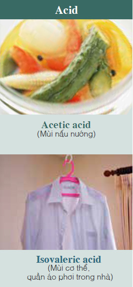 Acetic Acid (Cooking smells, etc.), Isovaleric Acid (Body odors, smell of laundry drying indoors, etc.)