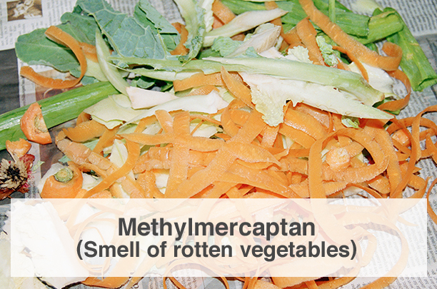 Methylmercaptan (Smell of rotten vegetables)