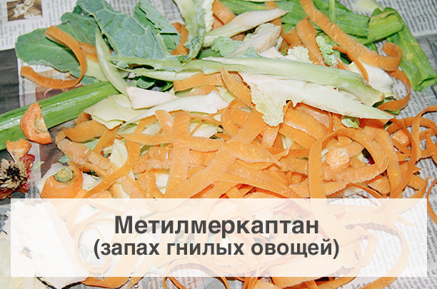 Метилмеркаптан (запах гнилых овощей)