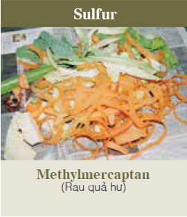 Methylmercaptan (Smell of rotten vegetables)