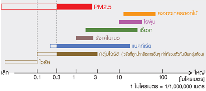 PM2.5, Pollen, Dust Mite Dung & Carcass, Mold, Cat Dandruff, Bacteria, Virus Clusters, Single Viruses