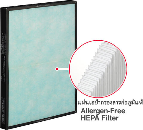 Allergen-Free HEPA Filter
