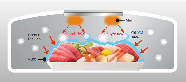 Resolve, Odor, Carbon Dioxide, Water Molecule, Water