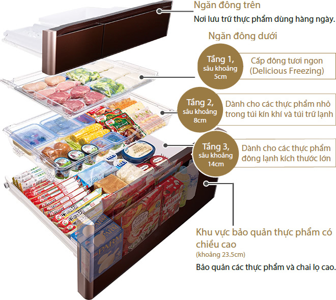 Upper Freezer Compartment, Lower Freezer Compartment, 1st Level, Around 5cm Deep, 2nd Level, Around 8cm Deep, 3rd Level, Around 14cm Deep, Vertical Storage Space (Approx. 23.5cm High)