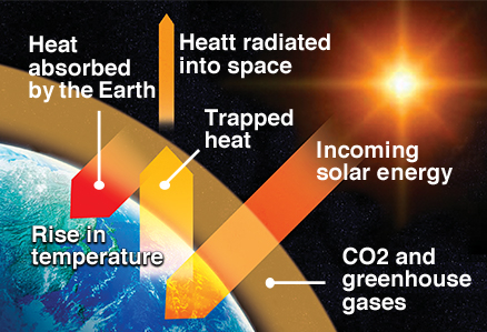 Rise in temperature