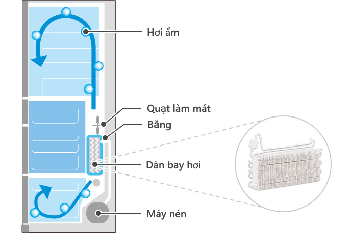 Moisture, Cooling Fan, Frost, Evaporator, Compressor