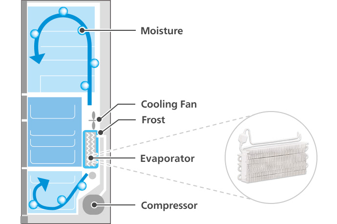 Moisture, Cooling Fan, Frost, Evaporator, Compressor