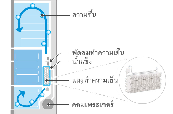 Moisture, Cooling Fan, Frost, Evaporator, Compressor