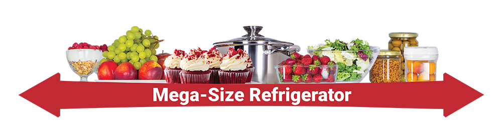 Hitachi Refrigerator, Mega-Size Refrigerator