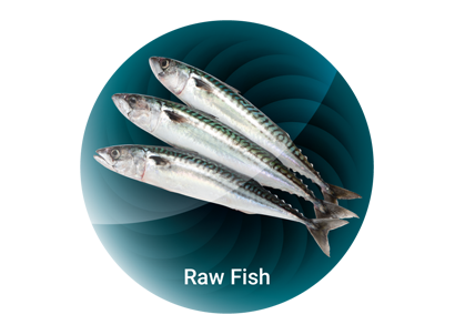 Raw Fish - Ammonia