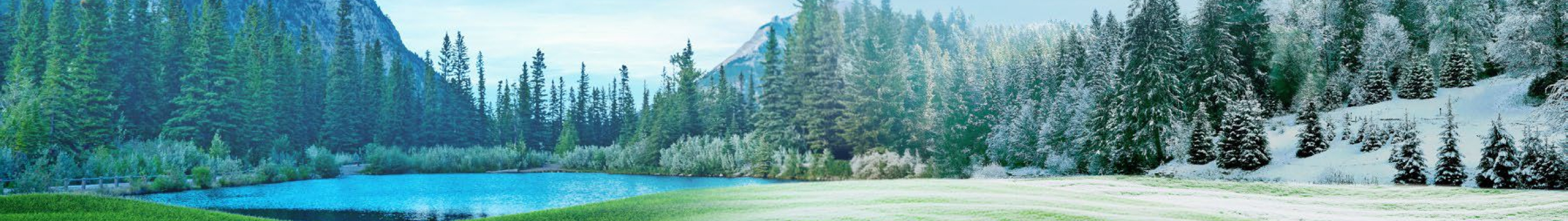 selectable-zone-background