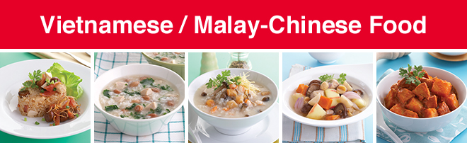 Vietnamese / Malay-Chinese Food